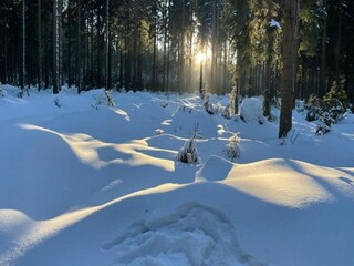 Appartement Zwickau Omgeving 25