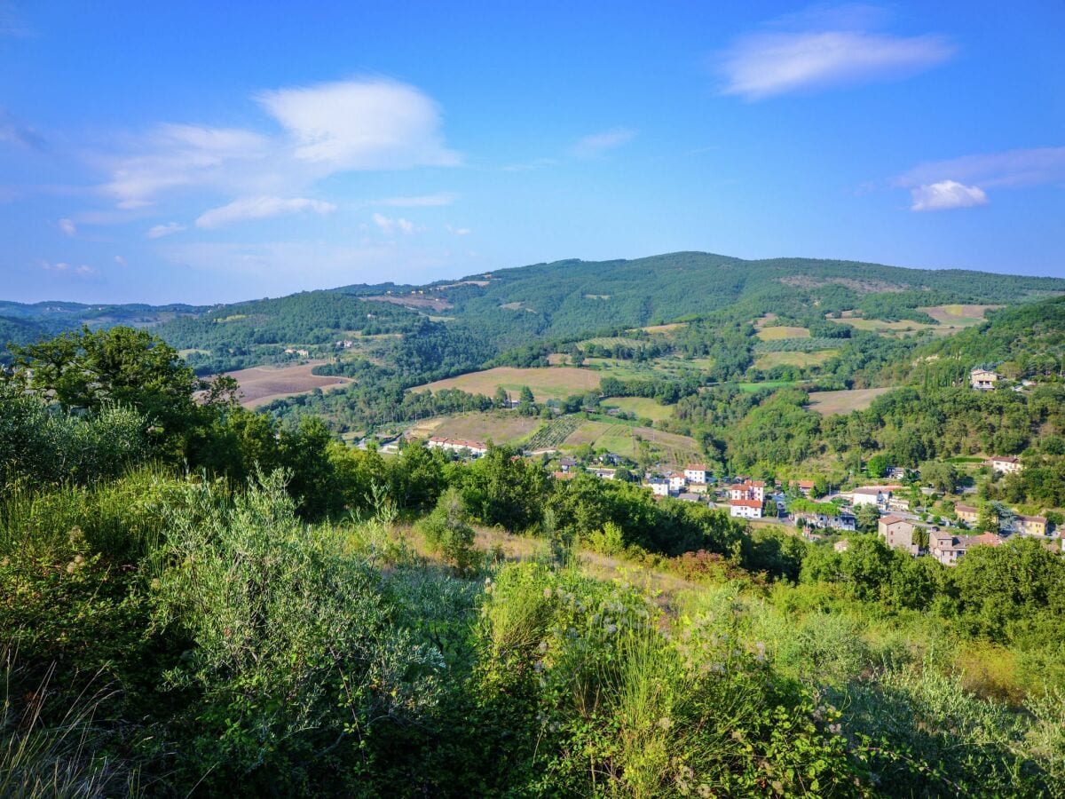 Ferienhaus Monte Santa Maria Tiberina Umgebung 33