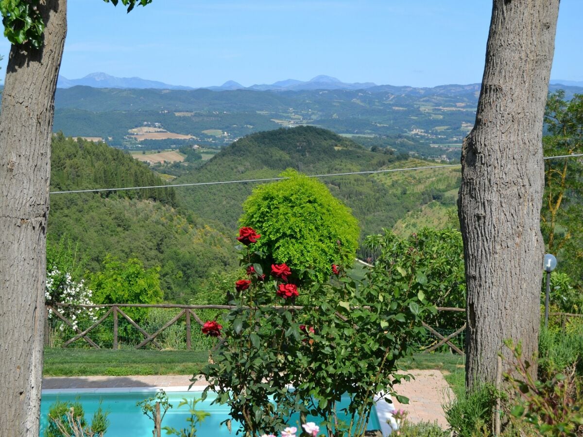 Ferienhaus Monte Santa Maria Tiberina Außenaufnahme 10