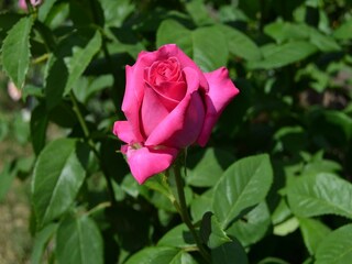 Casa de vacaciones Monte Santa Maria Tiberina  34