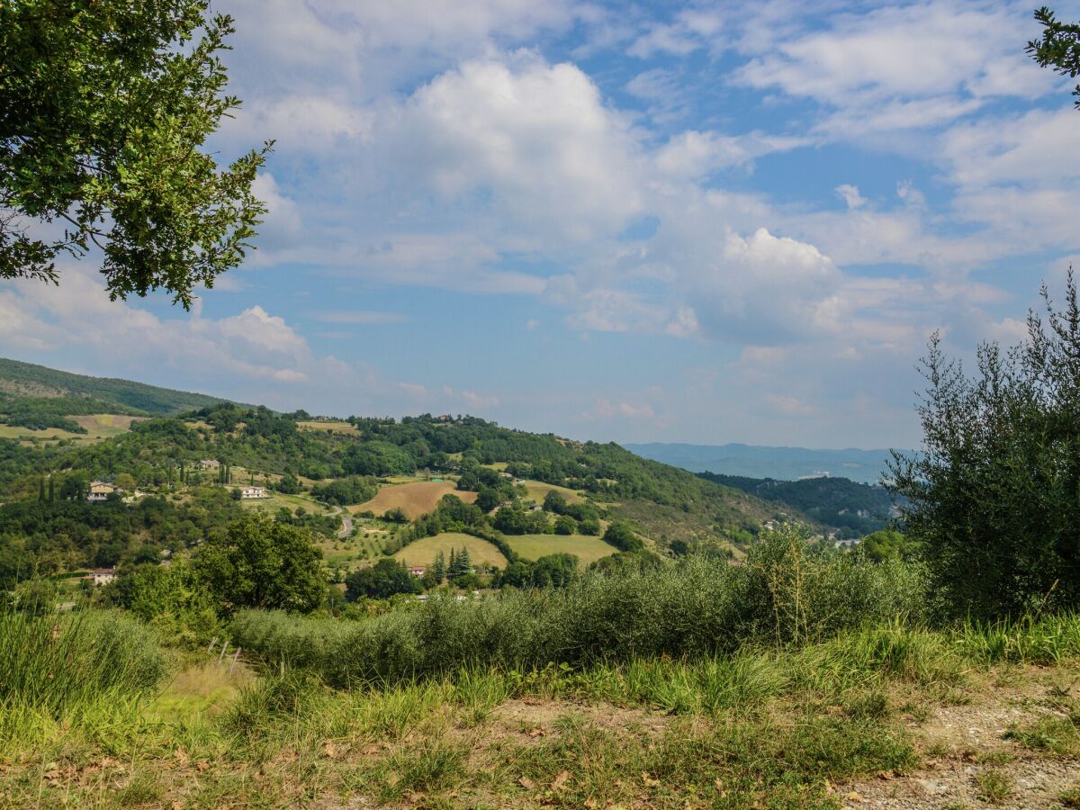 Ferienhaus Monte Santa Maria Tiberina Außenaufnahme 10