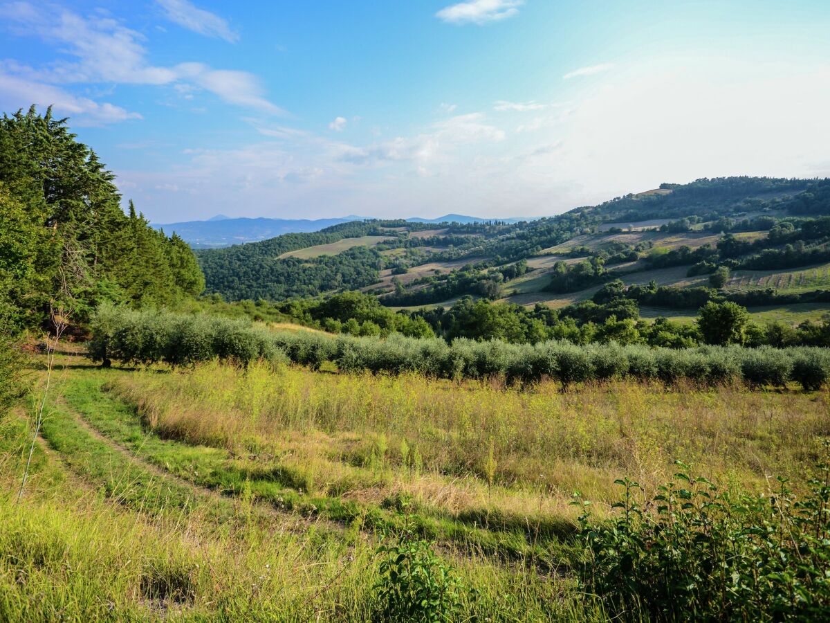 Ferienhaus Monte Santa Maria Tiberina Umgebung 28