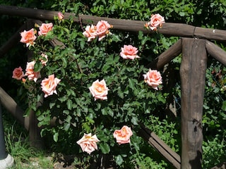 Casa per le vacanze Monte Santa Maria Tiberina  35