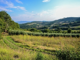 Ferienhaus Monte Santa Maria Tiberina Umgebung 29