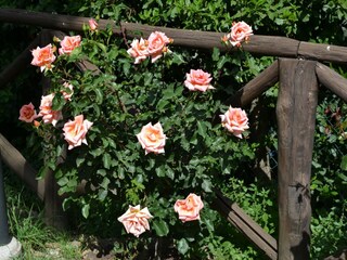 Casa per le vacanze Monte Santa Maria Tiberina  38