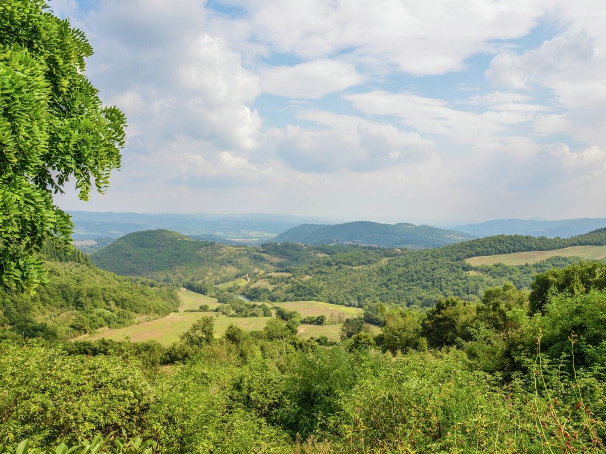 Ferienhaus Monte Santa Maria Tiberina Außenaufnahme 10