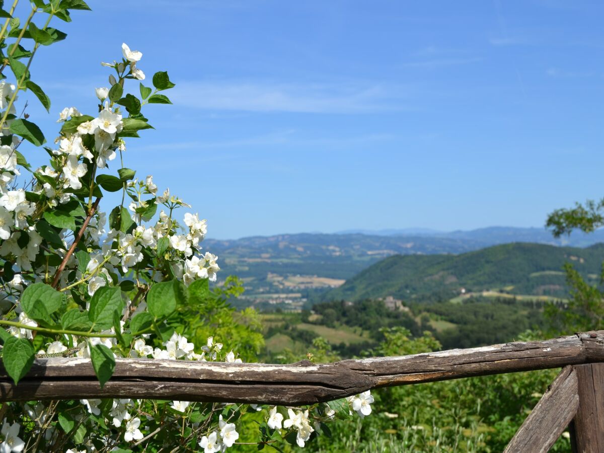 Ferienhaus Monte Santa Maria Tiberina Außenaufnahme 3