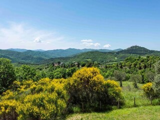 Vakantiehuis Monte Santa Maria Tiberina Omgeving 22