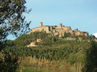 Ferienhaus Monte Santa Maria Tiberina Umgebung 26