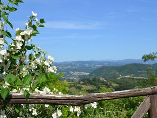 Ferienhaus Monte Santa Maria Tiberina Außenaufnahme 2