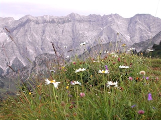 Hindelanger Klettersteig vom Sonnenkopf aus
