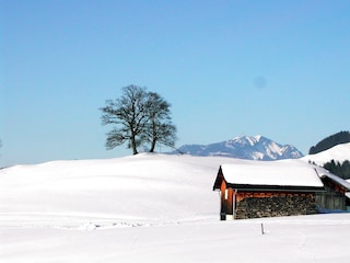 Grünten im Hintergrund