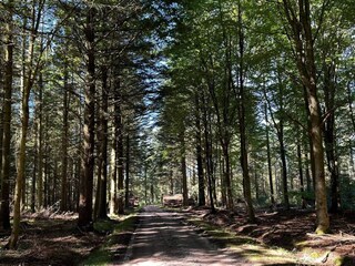 Ferienhaus Vorupør  11