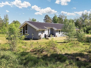 Ferienhaus Aalbæk Außenaufnahme 3