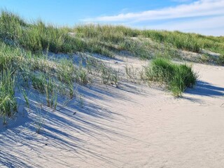 Maison de vacances Aalbæk  48