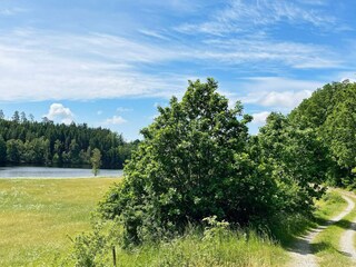 Vakantiehuis Trensum Buitenaudio-opname 12