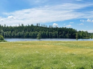 Vakantiehuis Trensum Buitenaudio-opname 2