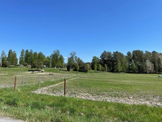 Holiday house Flen Outdoor Recording 5