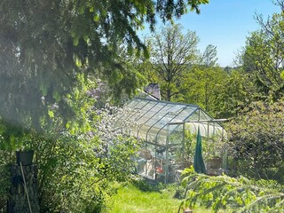 Ferienhaus Stockholm Außenaufnahme 15