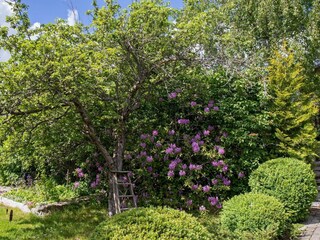 Holiday house Stockholm Outdoor Recording 9