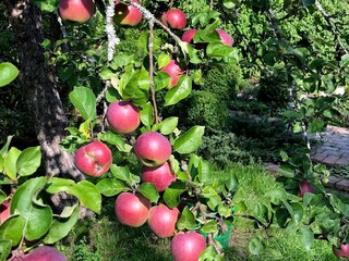 Vakantiehuis Stockholm  33