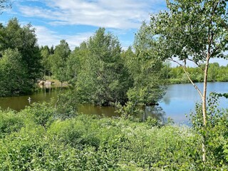 Ferienhaus Visjö  28