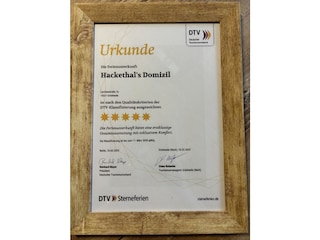 DTV- Klassifizierung