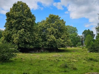 Ferienhaus Karlskrona  29