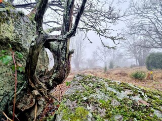 Holiday house Karlskrona  33