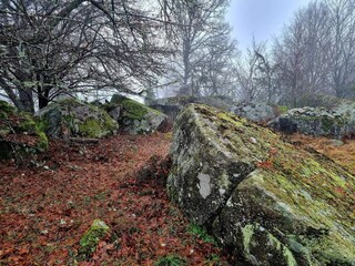Holiday house Karlskrona  31