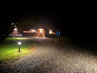 Ferienhaus Ulfborg Außenaufnahme 3