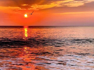 Vakantiehuis Vester Husby  6