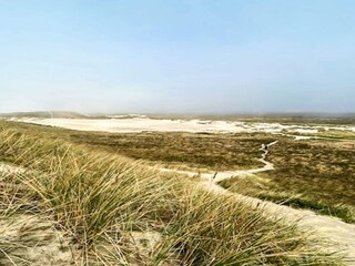 Vakantiehuis Vester Husby  30