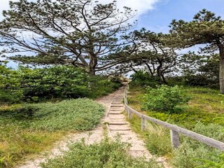 Vakantiehuis Vester Husby  11