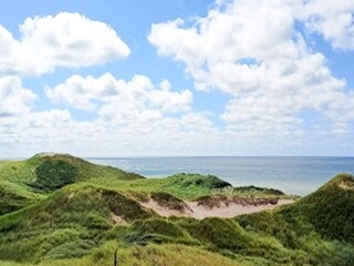 Vakantiehuis Vester Husby  31