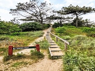 Vakantiehuis Vester Husby  25