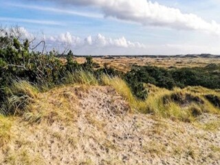 Vakantiehuis Vester Husby  60