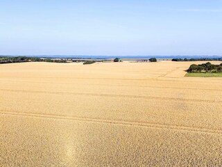 Holiday house Knud Strand Outdoor Recording 5