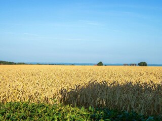 Ferienhaus Knud Strand Außenaufnahme 11