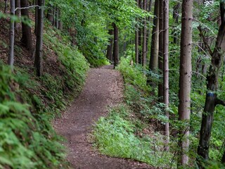 Vakantiehuis Granvik Buitenaudio-opname 4