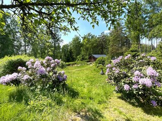 Vakantiehuis Granvik Buitenaudio-opname 1