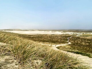 Vakantiehuis Vester Husby  64