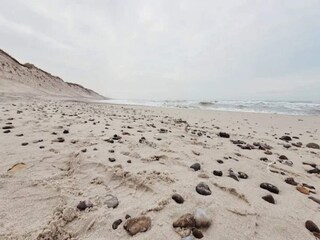 Ferienhaus Vester Husby  35