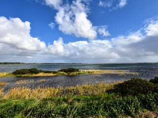 Ferienhaus Humlum  46