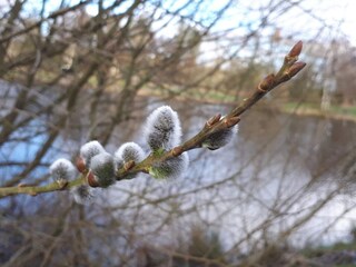 Casa de vacaciones Thorning  21