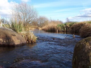 Vakantiehuis Thorning  39