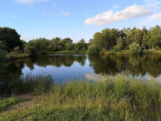 Vakantiehuis Thorning  12