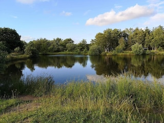 Vakantiehuis Thorning  15