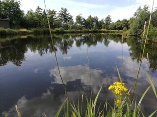 Vakantiehuis Thorning  16