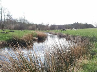 Vakantiehuis Thorning  22